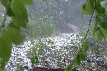 Ostrzeżenie dla powiatu jasielskiego na Boże Ciało