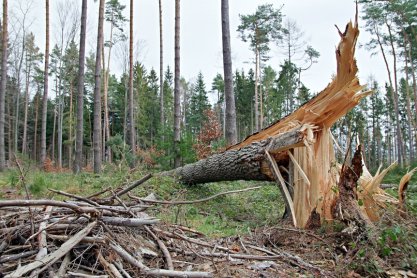 Ostrzeżenie dla powiatu jasielskiego