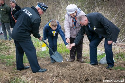 Papieska Aleja Dębowa w Dukli