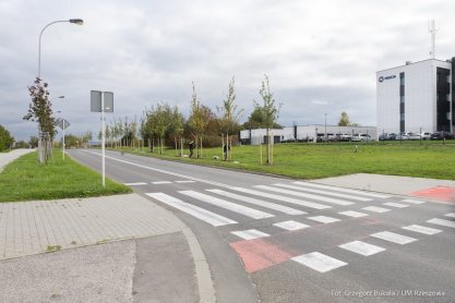 Park na os. Kotuli jest kolejną zieloną inwestycją