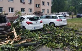 Podkarpaccy strażacy interweniowali 1200 razy po nawałnicach