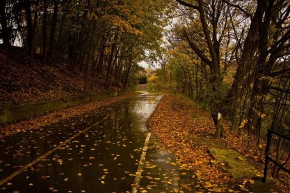 Policja apeluje o ostrożność na drodze w jesienne dni