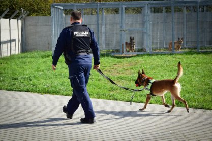 Policyjne psy zdawały egzamin