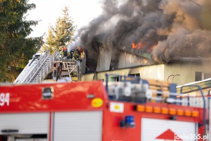 Pożar w Jaśle przy ul. Młynarskiej