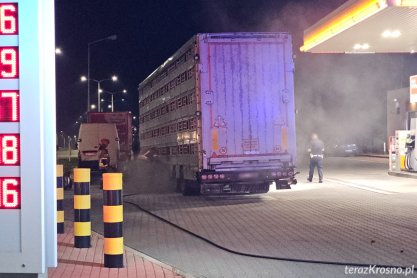 Prosiaki w oparach dymu. Awaryjny postój ciężarówki w Krośnie