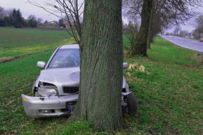 REGION. Kierowca zasnął za kierownicą i uderzył w drzewo