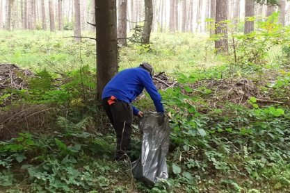 Skazani z Zakładu Karnego w Jaśle porządkowali tereny leśne