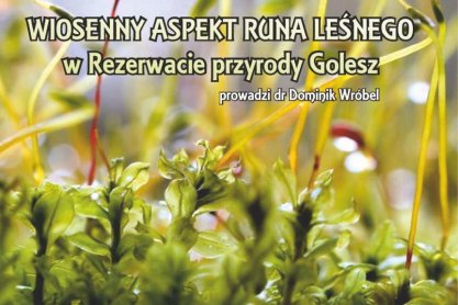 Studnia Kulturalna JDK: wiosenny spacer po Goleszu