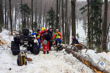 Tragiczny wypadek w lesie. Zginął mężczyzna