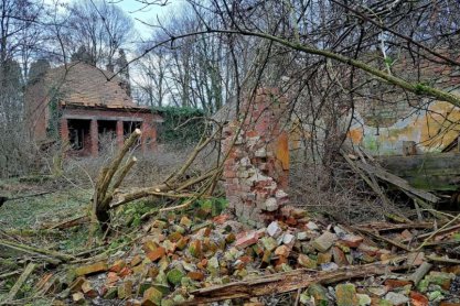 Trwają prace rewitalizacyjne związane z działką "Dziedzinek"