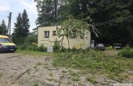 Upadek drzewa w Bratkówce. Jesion runął na budynek mieszkalny