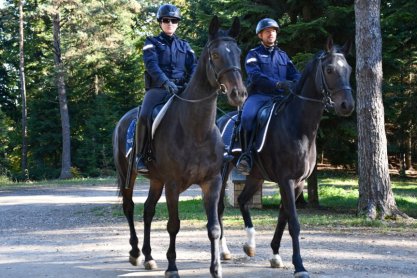 Wspólne patrole Policji i Straży Leśnej