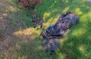 Wypadek na drodze wojewódzkiej 992