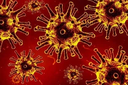 Wzrost zachorowań w powiecie jasielskim. 80 nowych przypadków koronawirusa