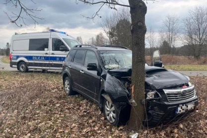 Zdarzenia z udziałem zwierzyny