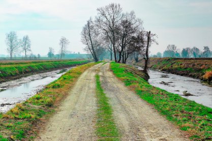 Zmodernizowane zostaną drogi dojazdowe do gruntów rolnych w Szebniach i Osobnicy