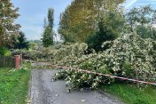 Interewncje strażaków po burzach na Podkarpaciu