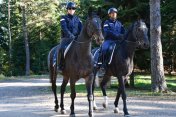 Patrole policji i straży leśnej w gminie Jasło