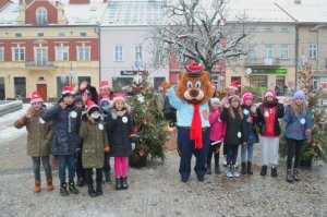 20 świątecznie udekorowanych choinek pojawiło na jasielskim rynku